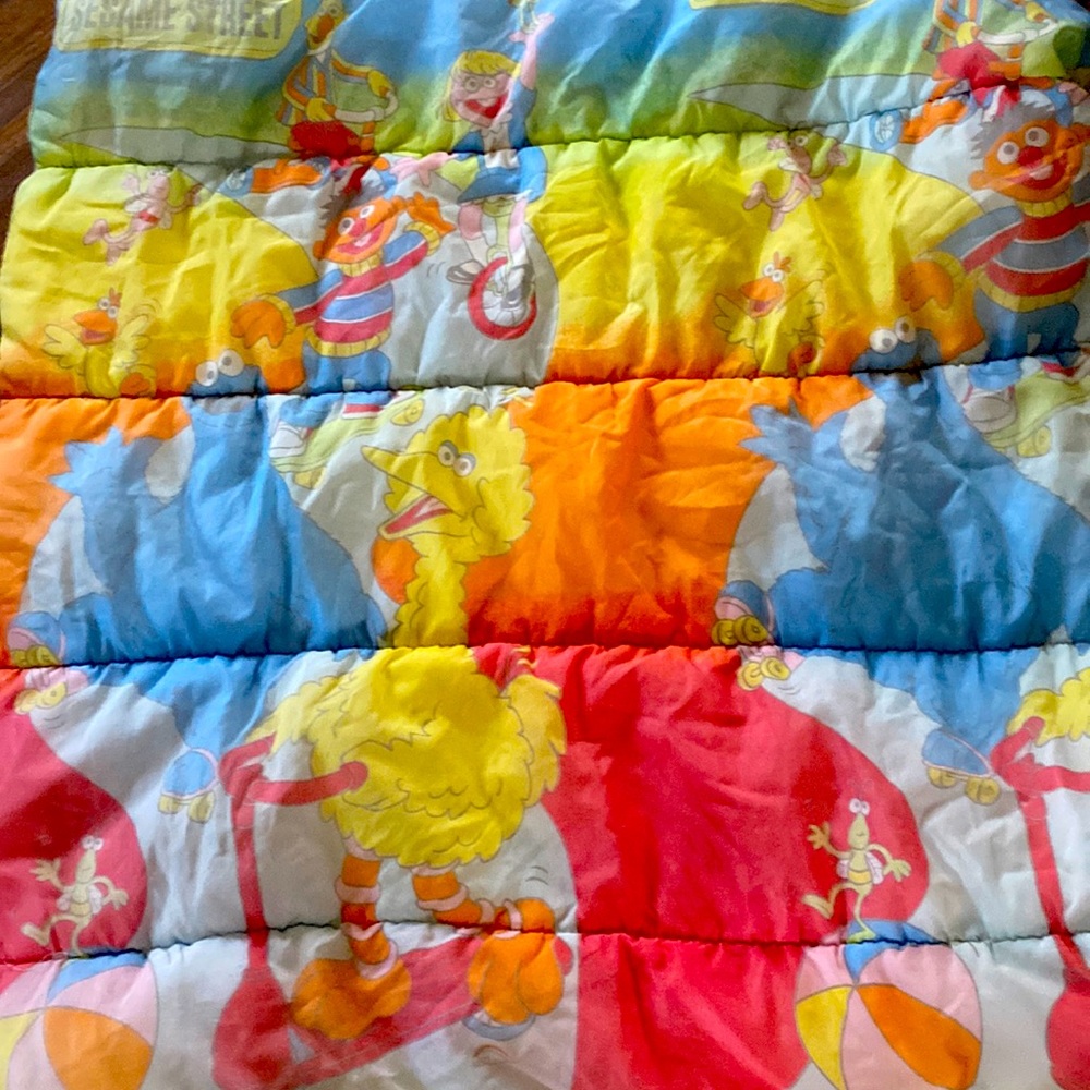Vintage Sesame Street sleeping bag kids